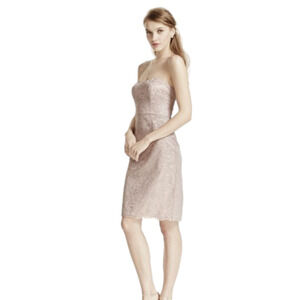 NWT David's Bridal Short Popover Lace Petal Pink Bridesmaid Dress Sz 4